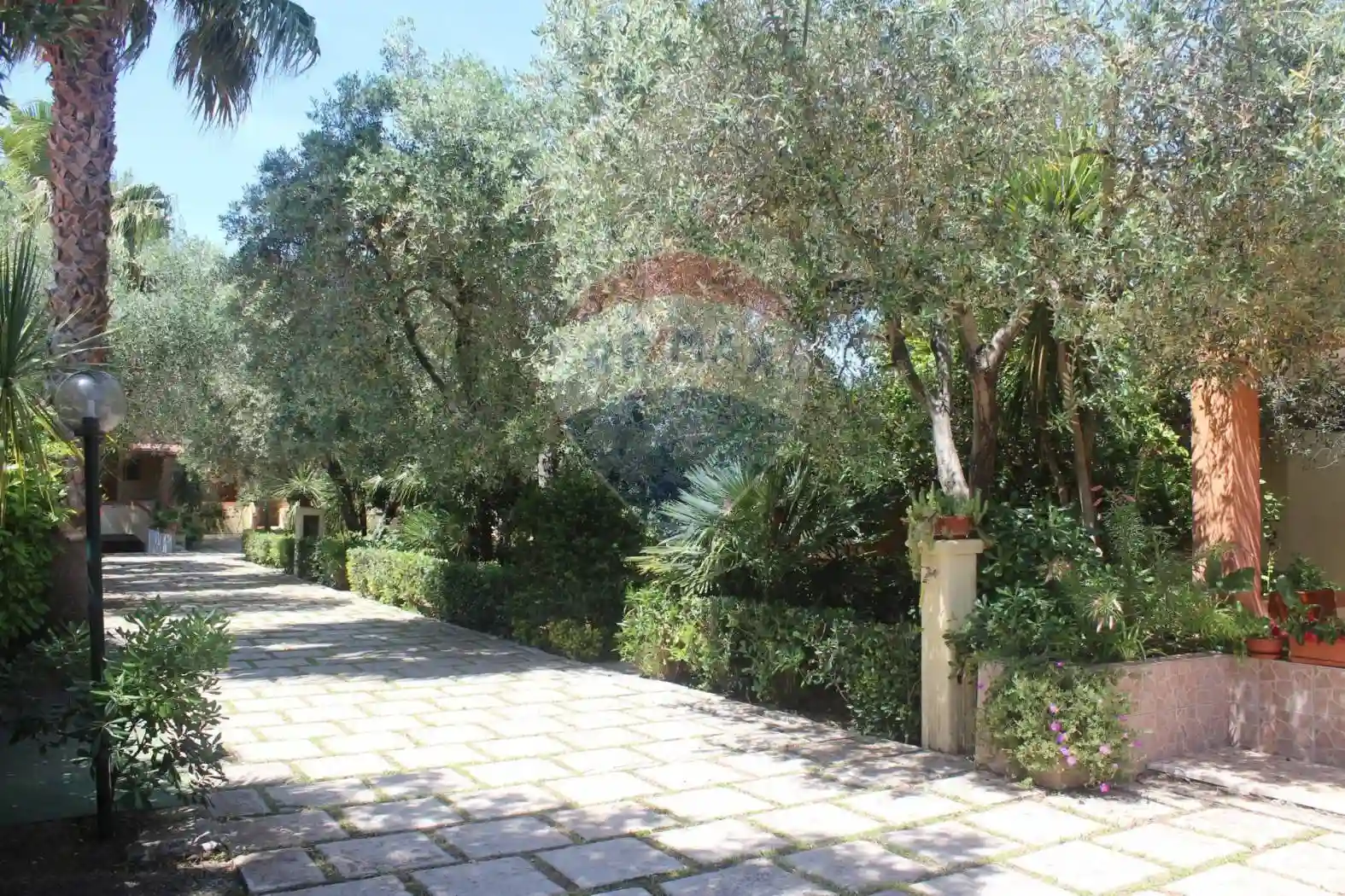 Palazzo - Edificio - foto 4