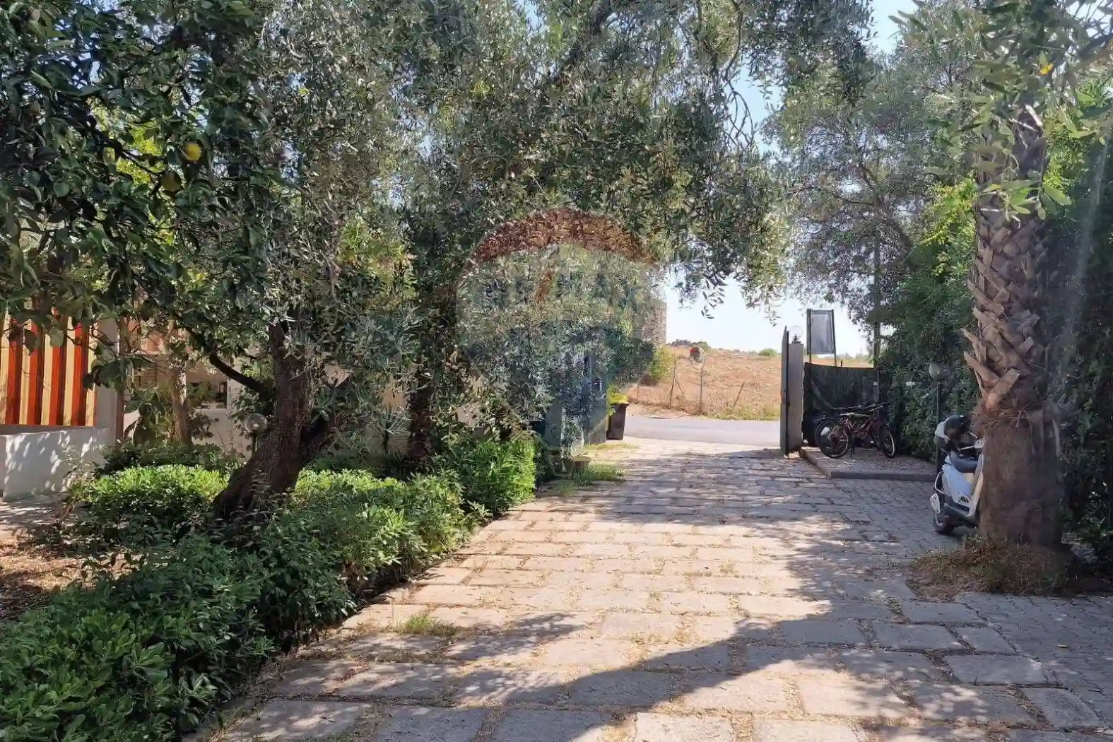 Palazzo - Edificio - foto 5