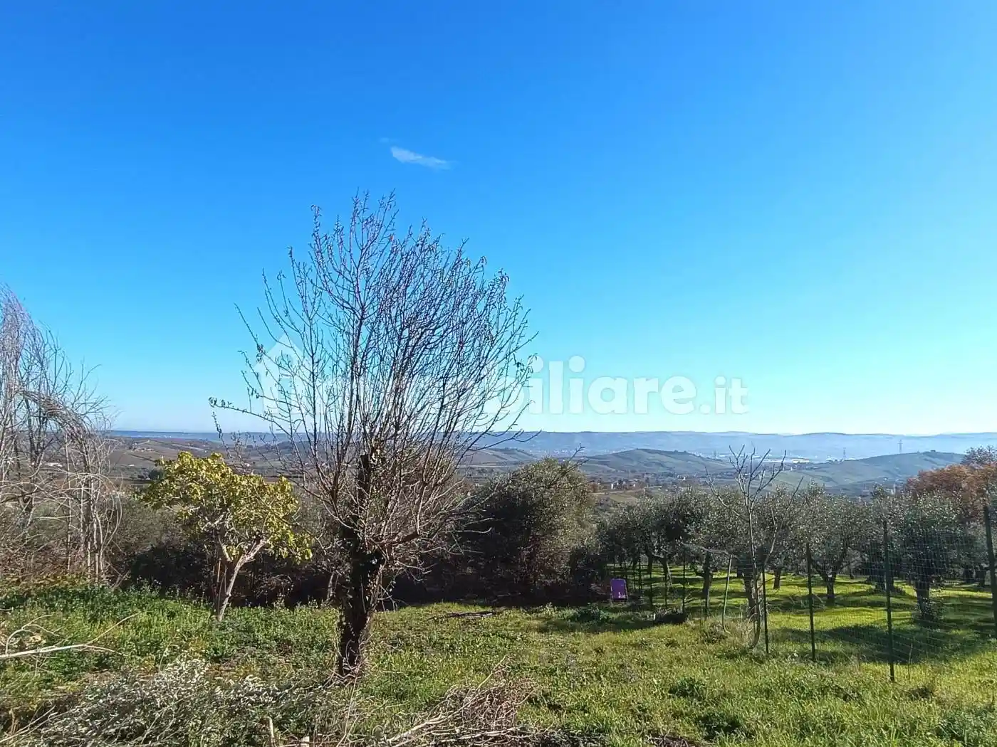 Casale Contrada Fontanelle 104, Lanciano - foto 4