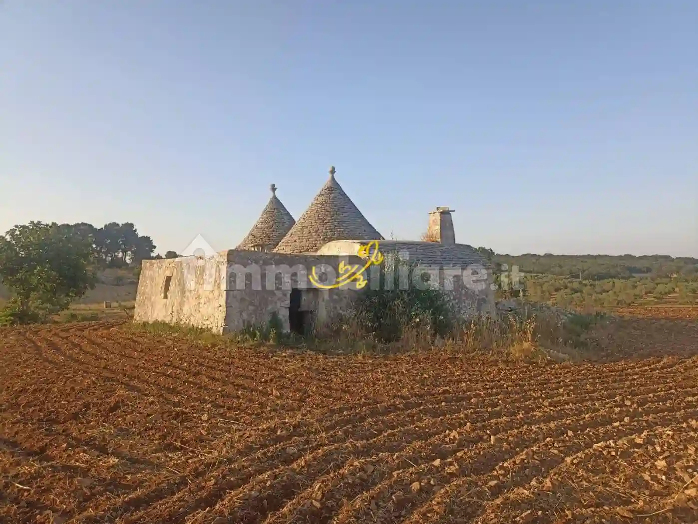 Rustico - Casale - foto 5