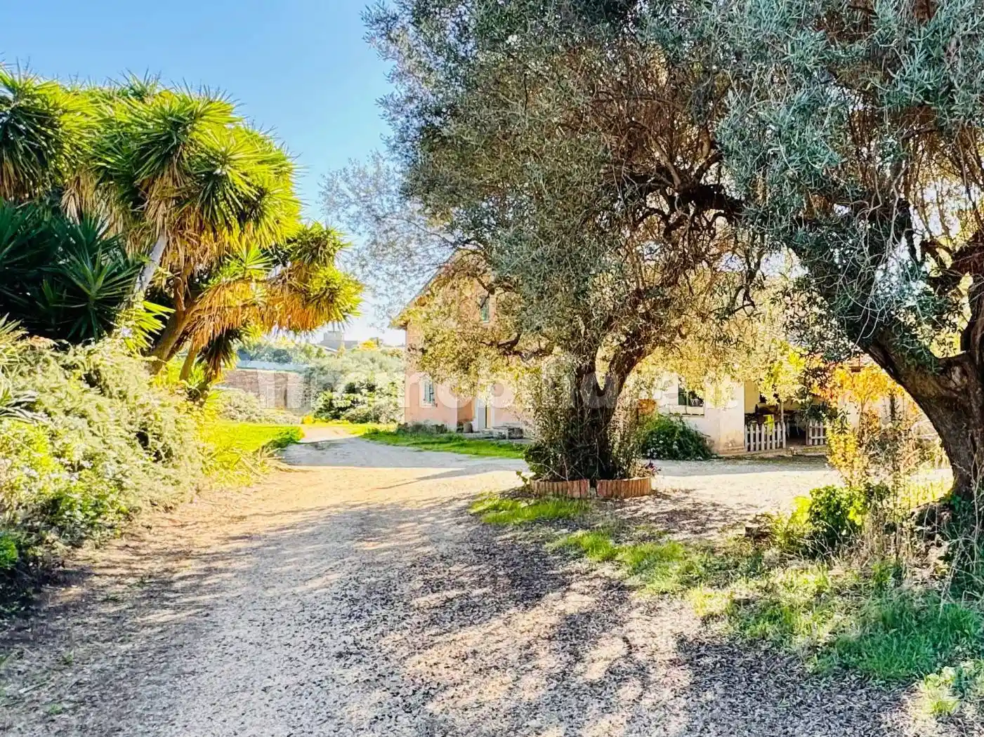 Rustico - Casale in vendita a Ariccia