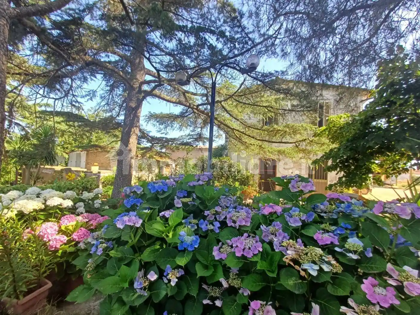 Rustico - Casale in vendita a Tuscania