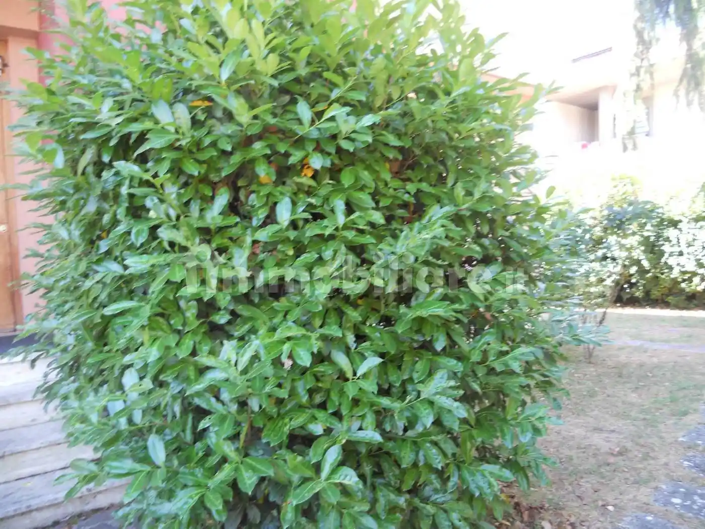 Villa bifamiliare, buono stato, 266 m², Centro, Avezzano - foto 5