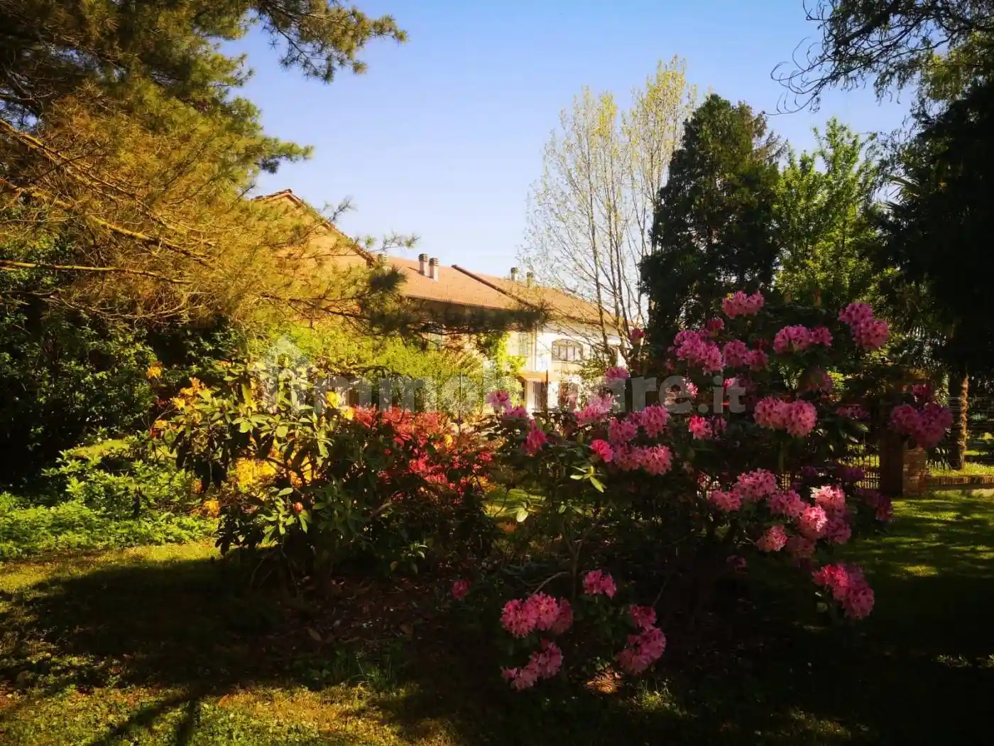 Rustico - Casale - foto 3