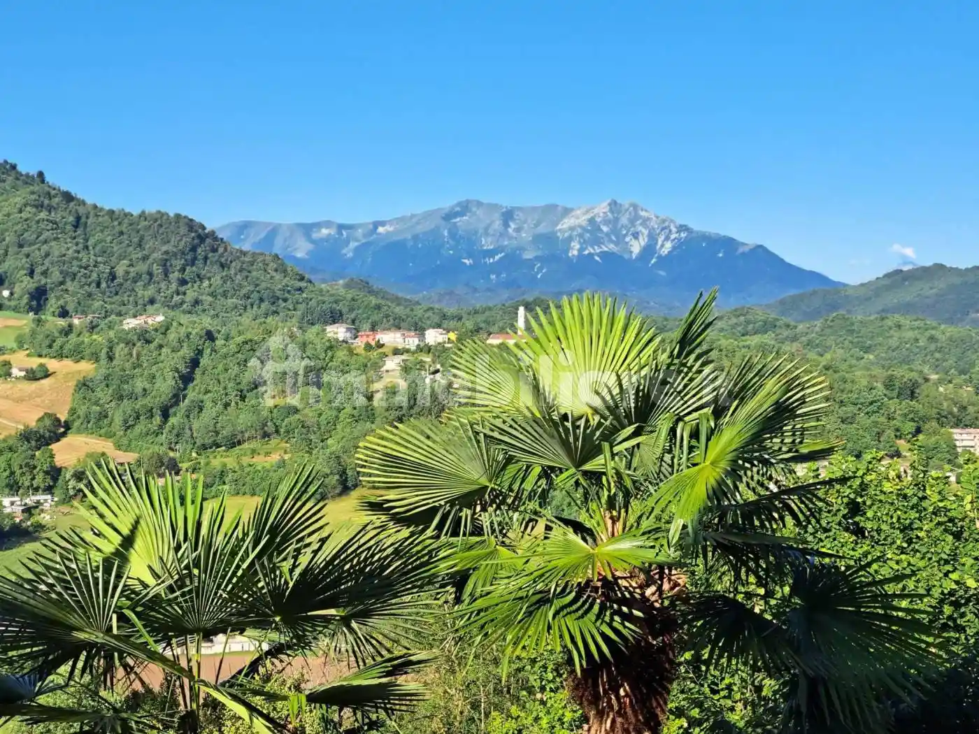 Appartamento in vendita a Frabosa Sottana