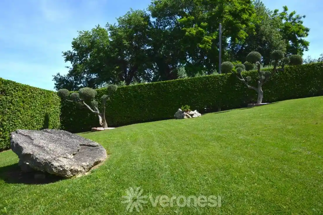 Villa unifamiliare Contrada Nasuti 189, Sant'Amato Nasuti, Lanciano - foto 3