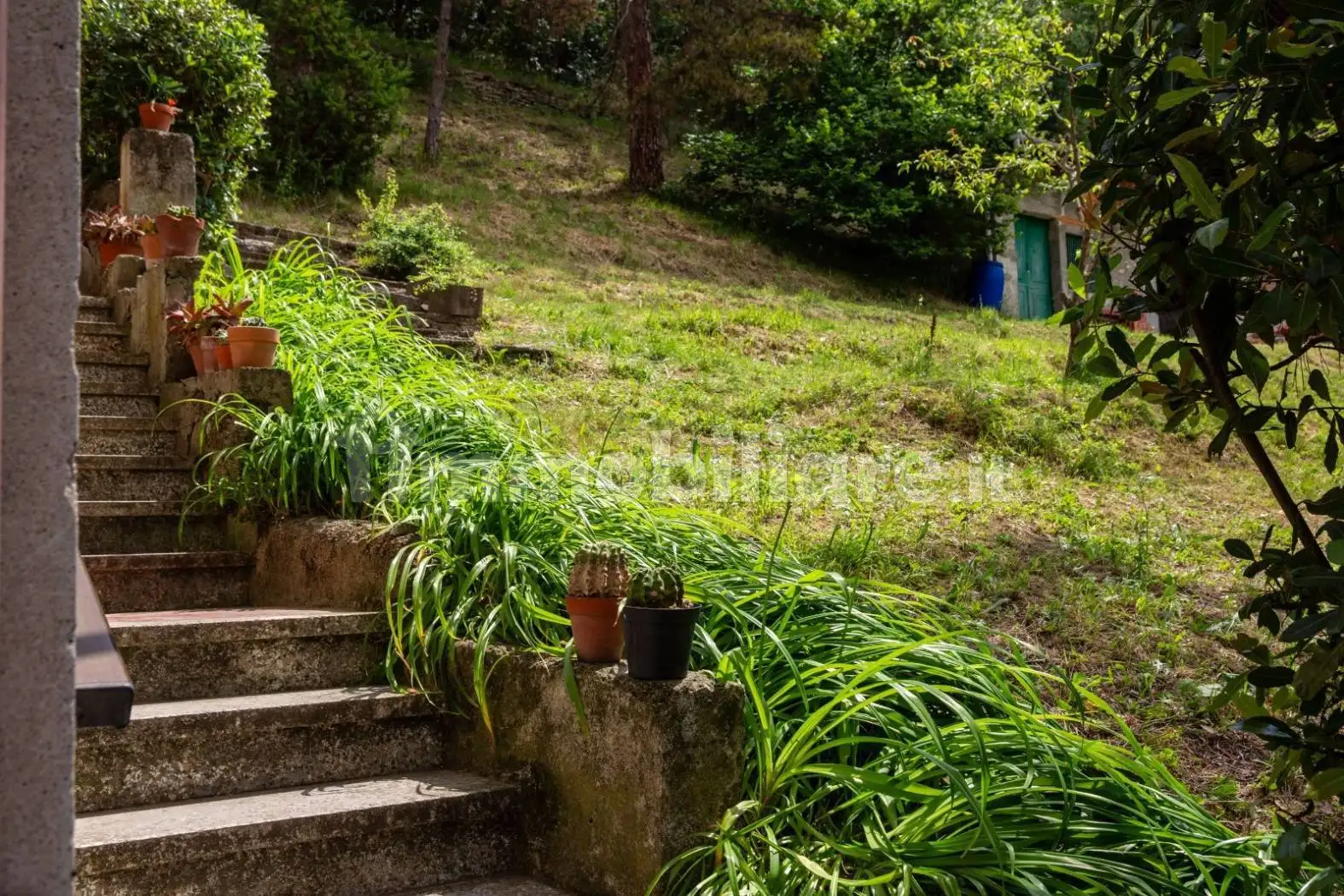 Rustico - Casale in vendita a Melazzo