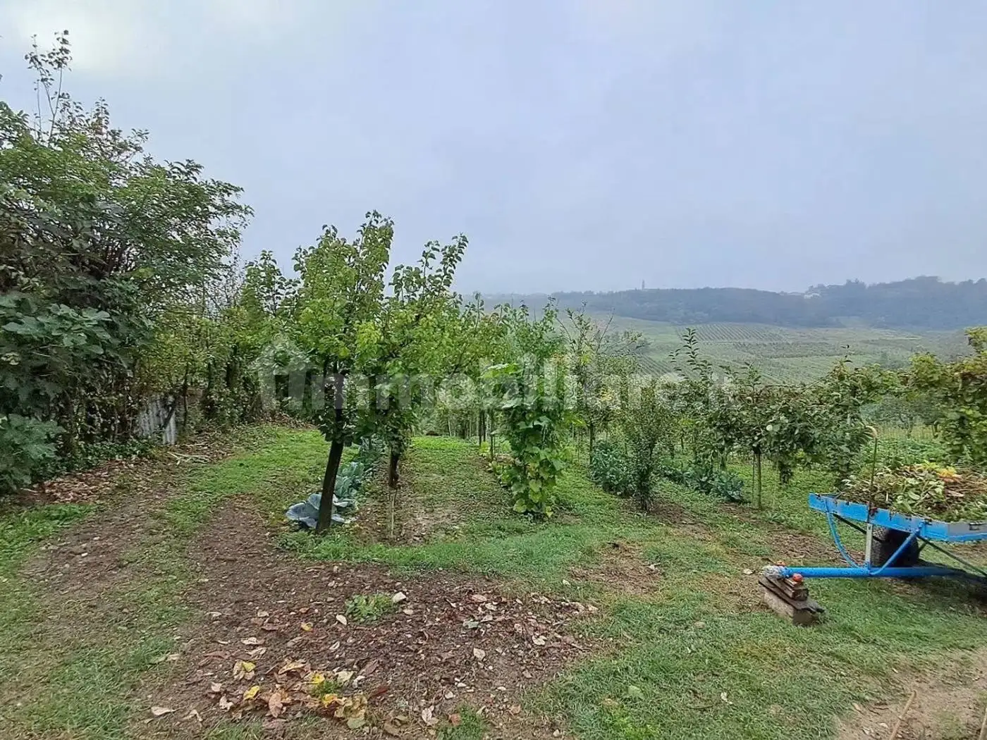 Villa in vendita a Montescano