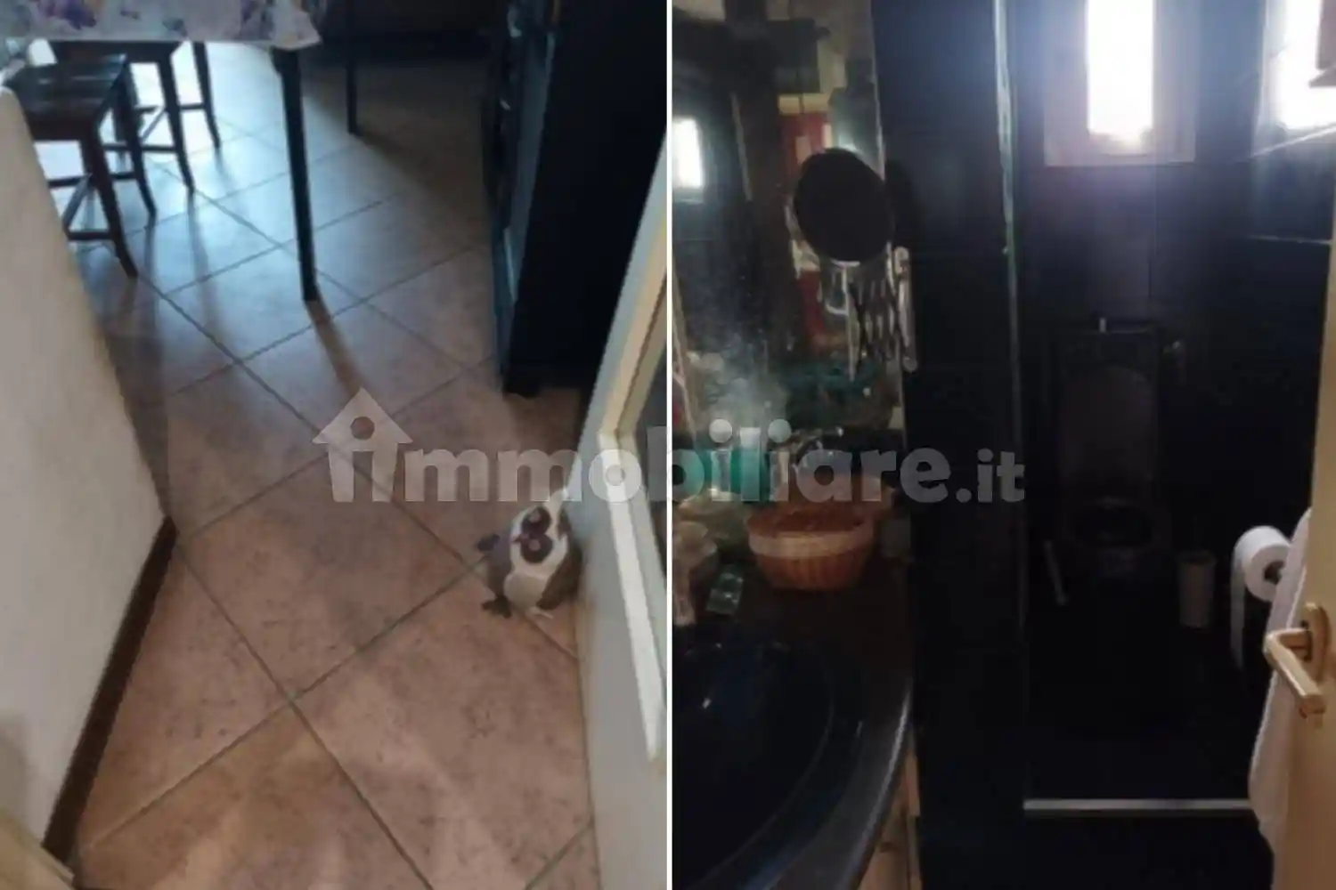 Appartamento all'asta piazza Duca degli Abruzzi, 2, 65124 Pescara Italia, Pescara - foto 5