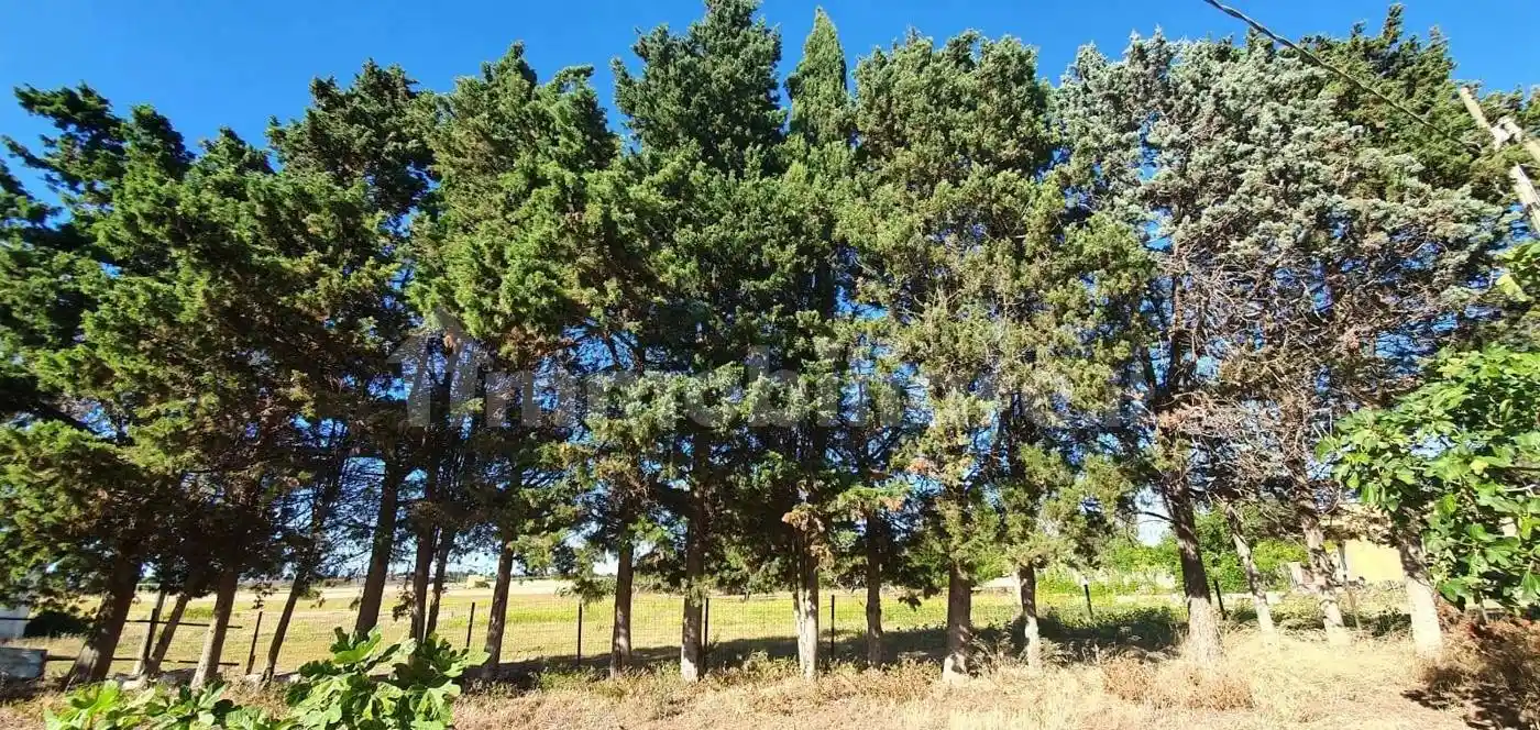 Villa unifamiliare Contrada Campobasso, 1, Montenegro, Brindisi - foto 3