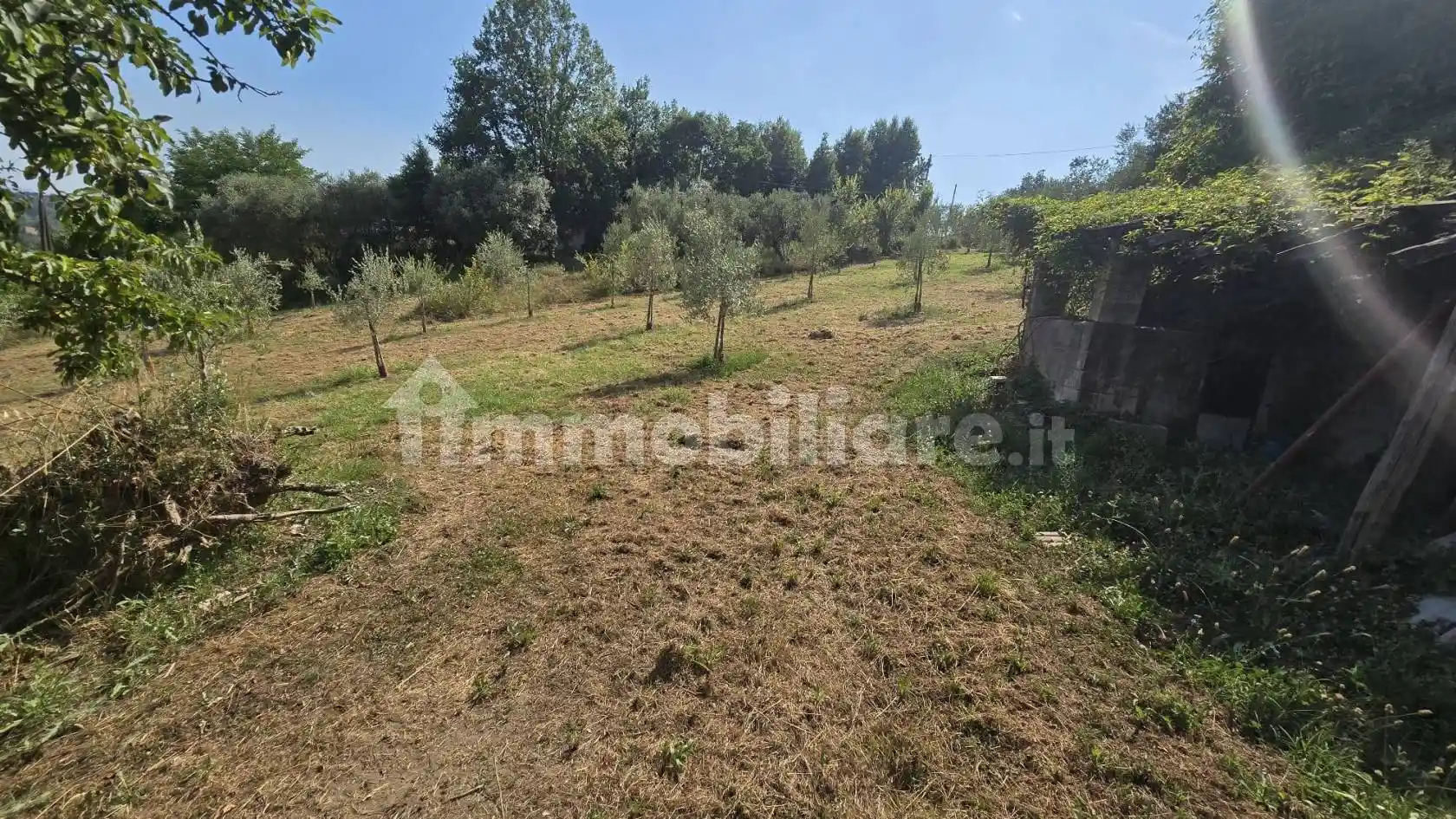 Rustico - Casale in vendita a Torrice