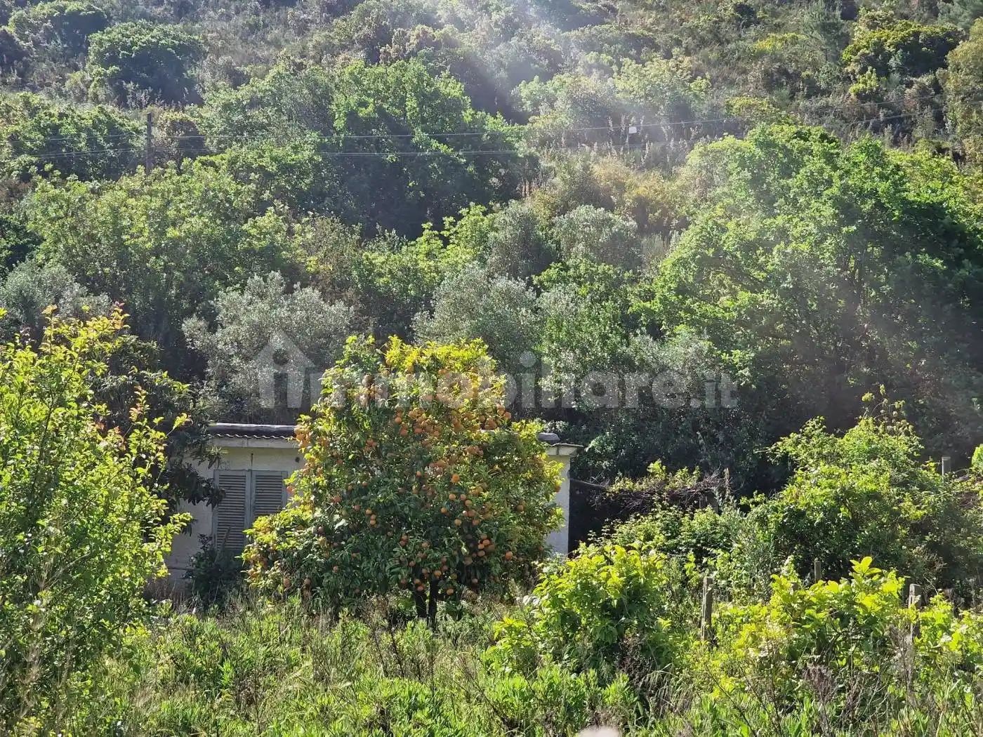 Rustico - Casale in vendita a Monte Argentario