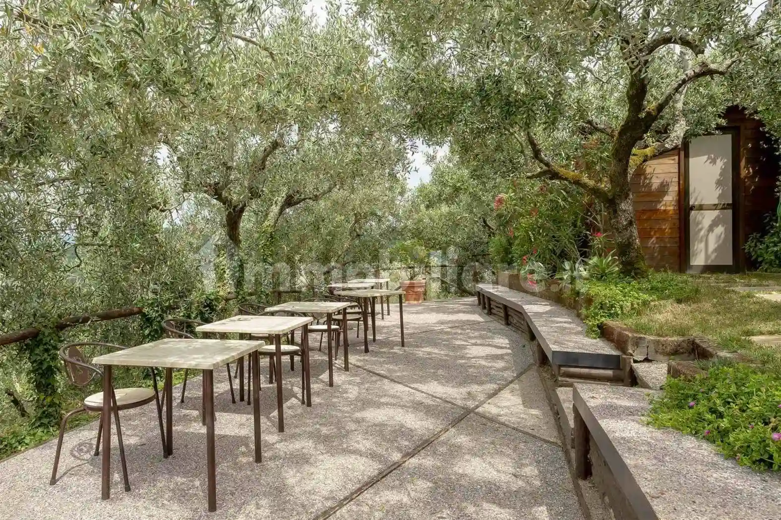 Rustico - Casale - foto 3