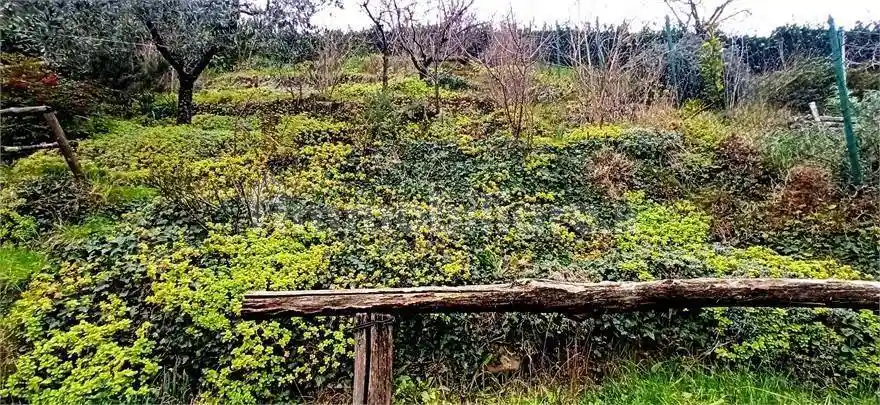 Villa a schiera 5 locali, buono stato, Giardino Zoologico, Pistoia - foto 5