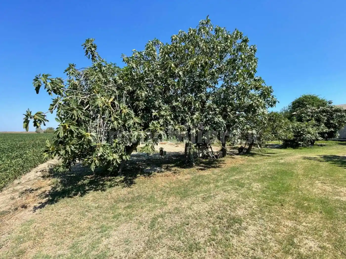 Villa in vendita a Ravenna