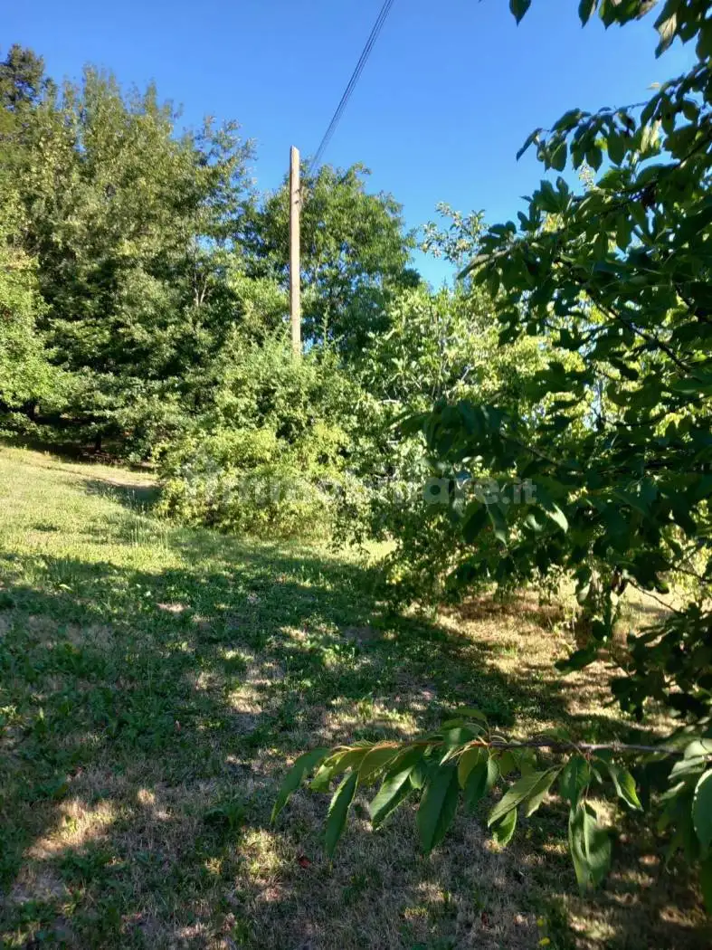 Casa indipendente in vendita a Grizzana Morandi