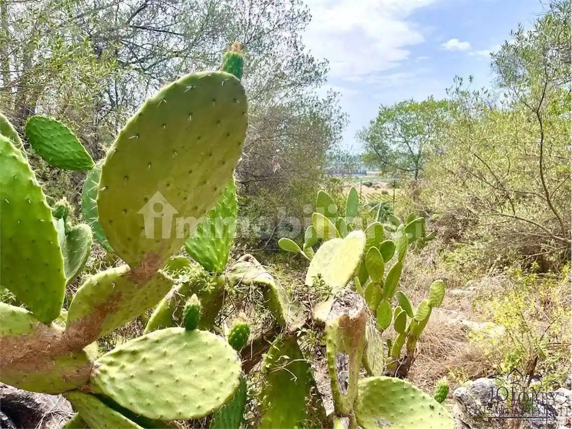 Rustico - Casale in vendita a Siracusa