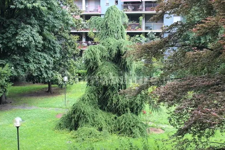 Apartment in vendita a Milan