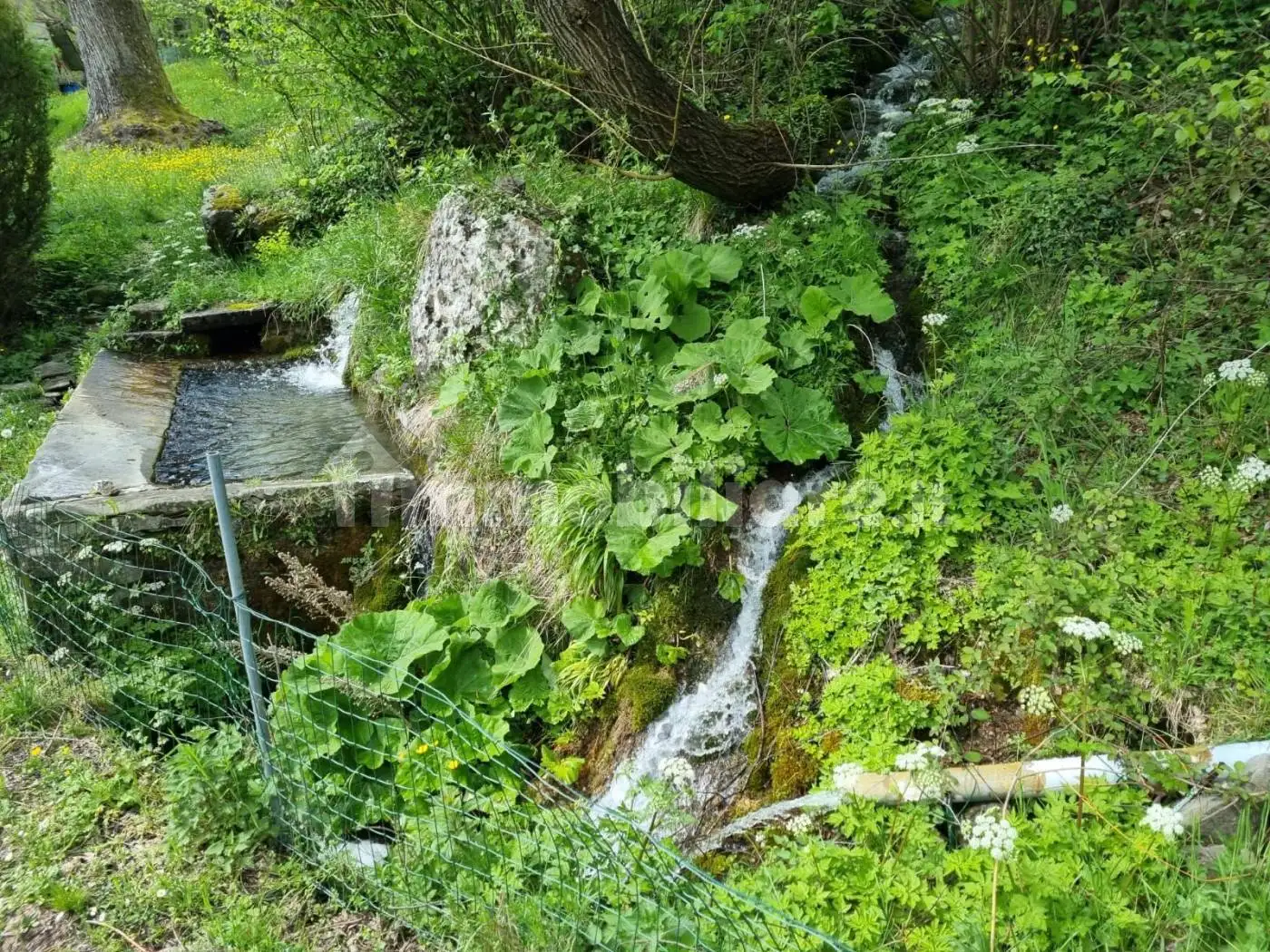 Casa indipendente in affitto a Camugnano