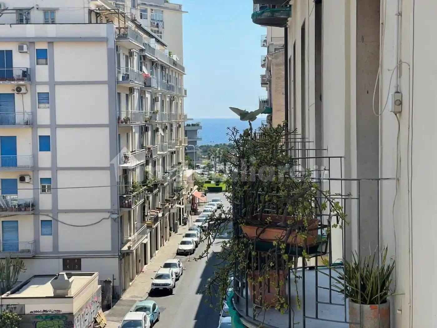 Appartamento in affitto a Catania