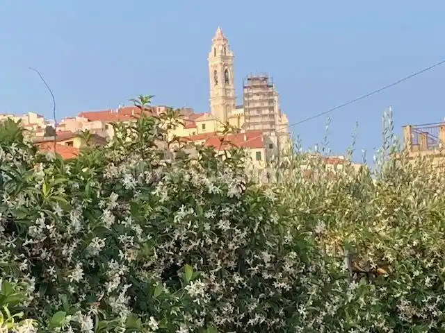 Appartamento in affitto a Cervo