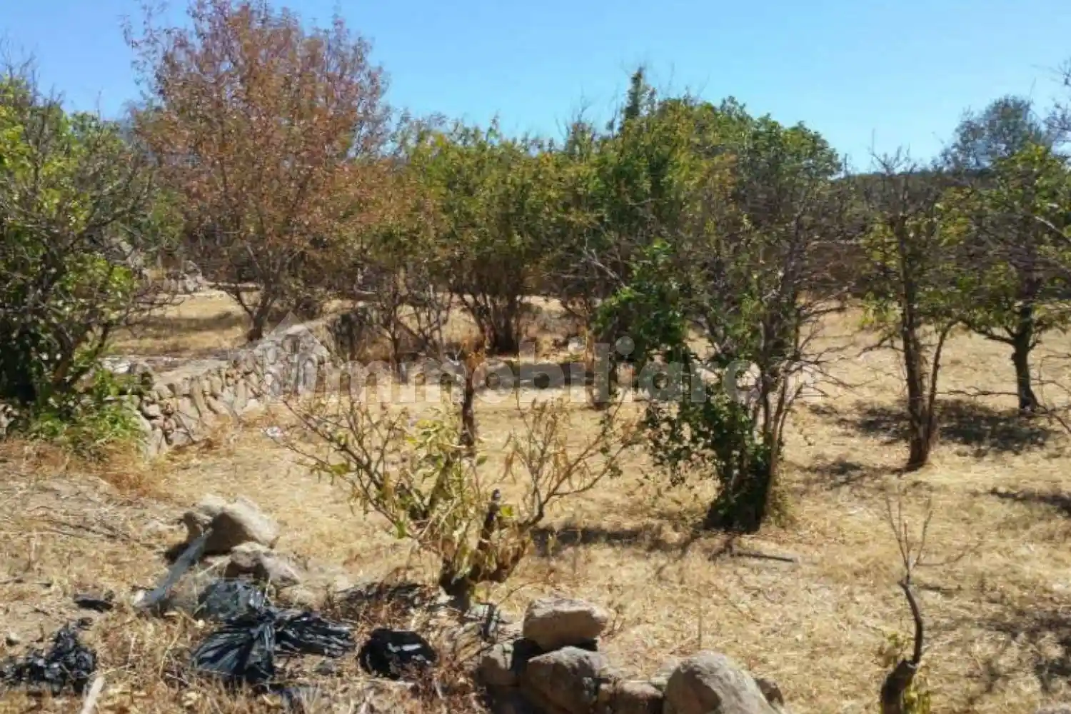 Appartamento all'asta Località Rudalza, Olbia - foto 3