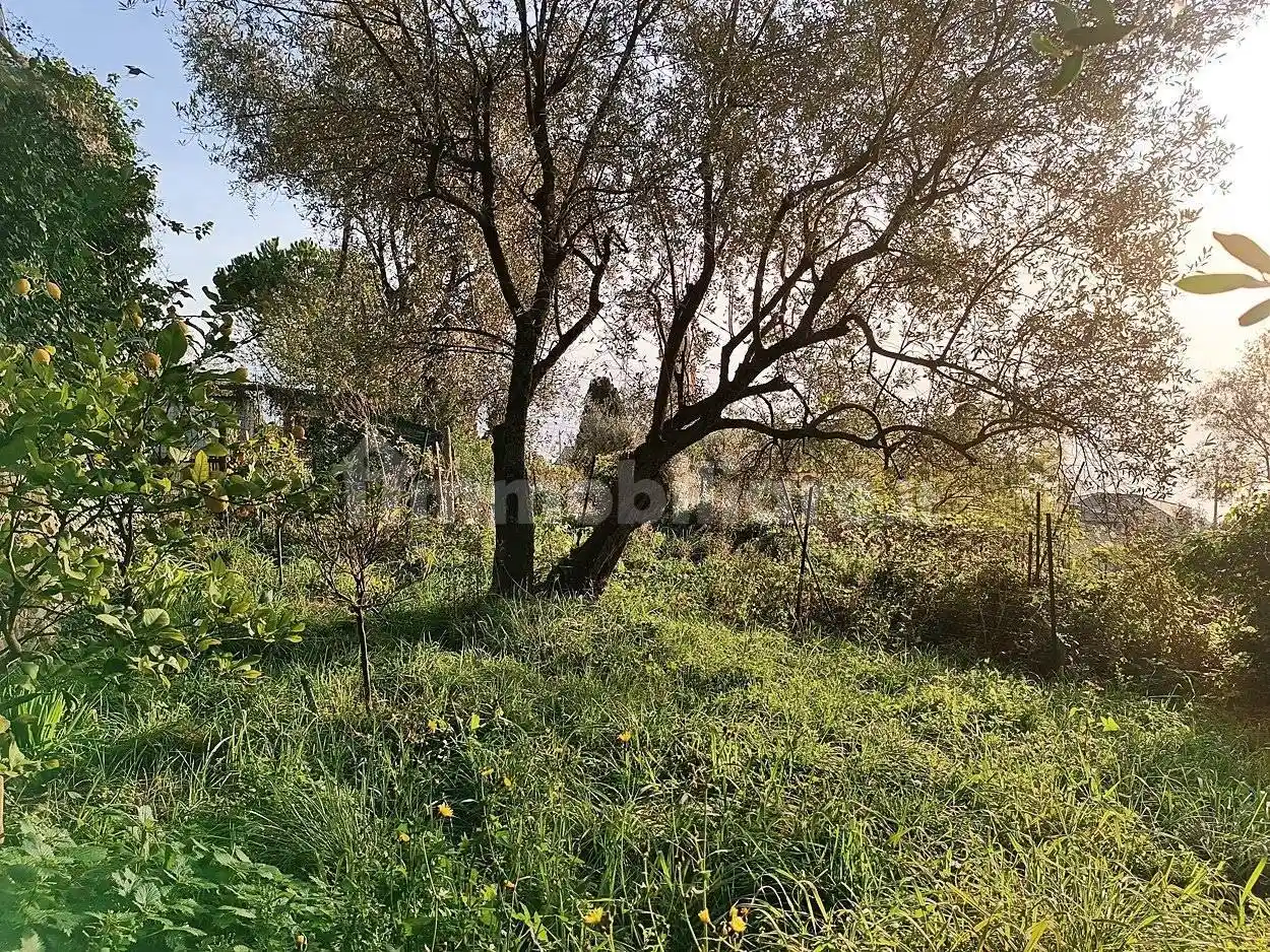 Appartamento in vendita a Pieve Ligure