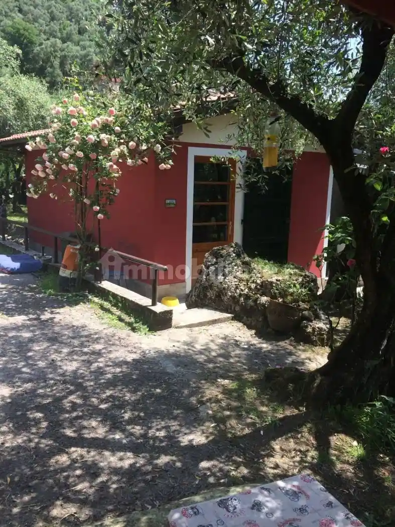 Rustico - Casale in vendita a Camaiore