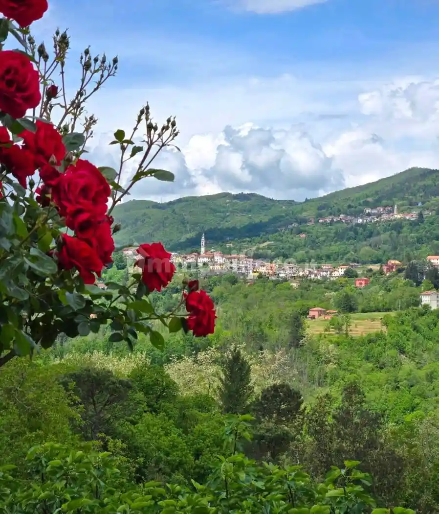 Appartamento in vendita a Carro