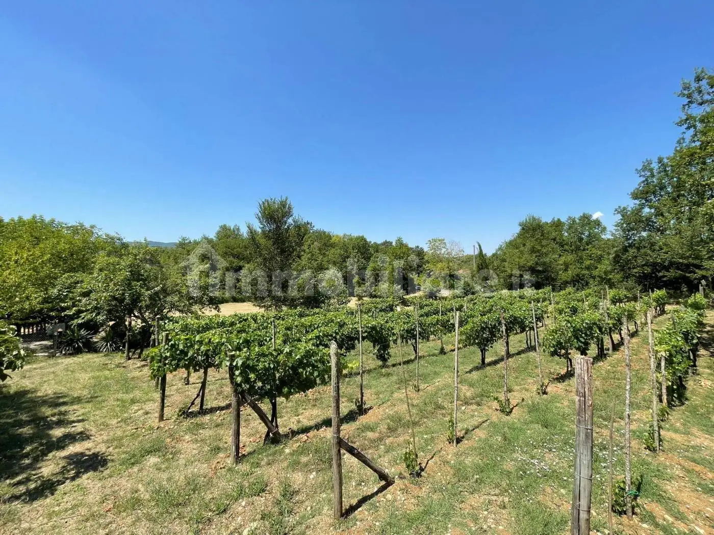 Villa unifamiliare via Pozzuoli 3, Casalvieri - foto 4