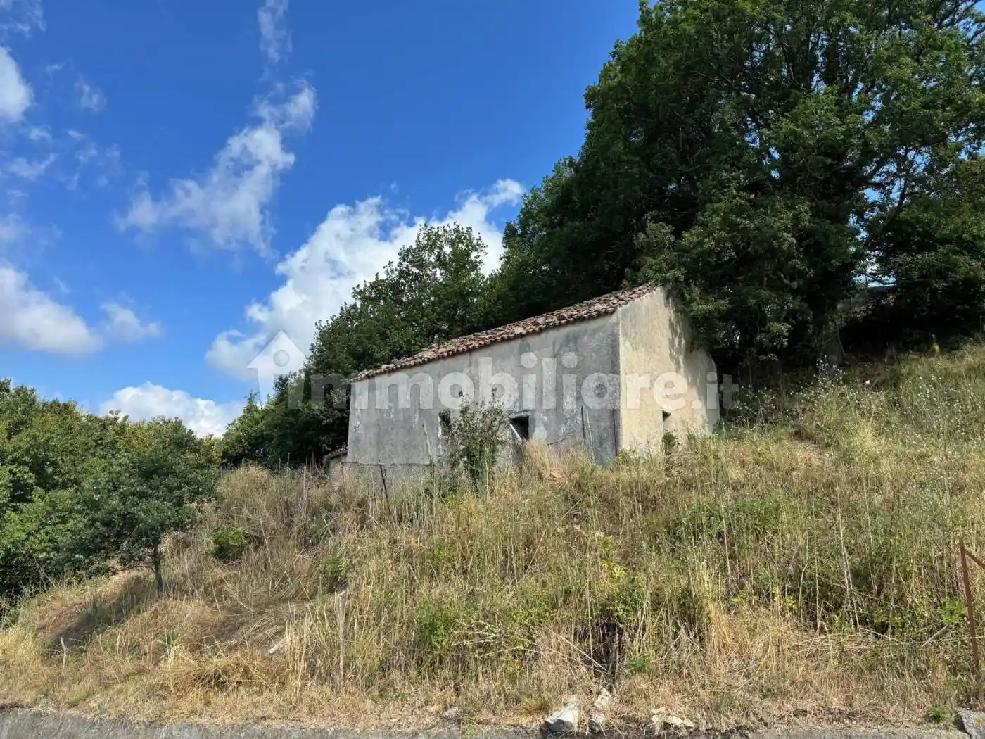 Rustico - Casale in vendita a Tortorella