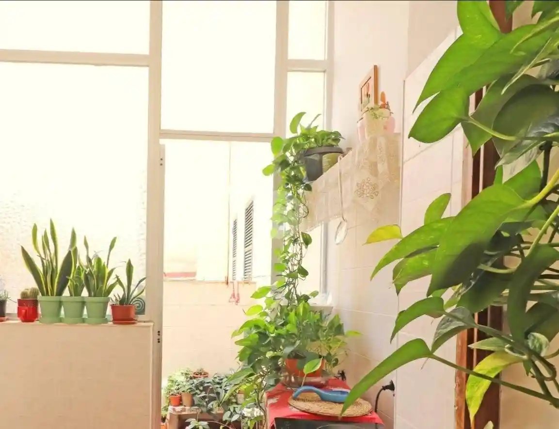 Appartamento in vendita a Alghero