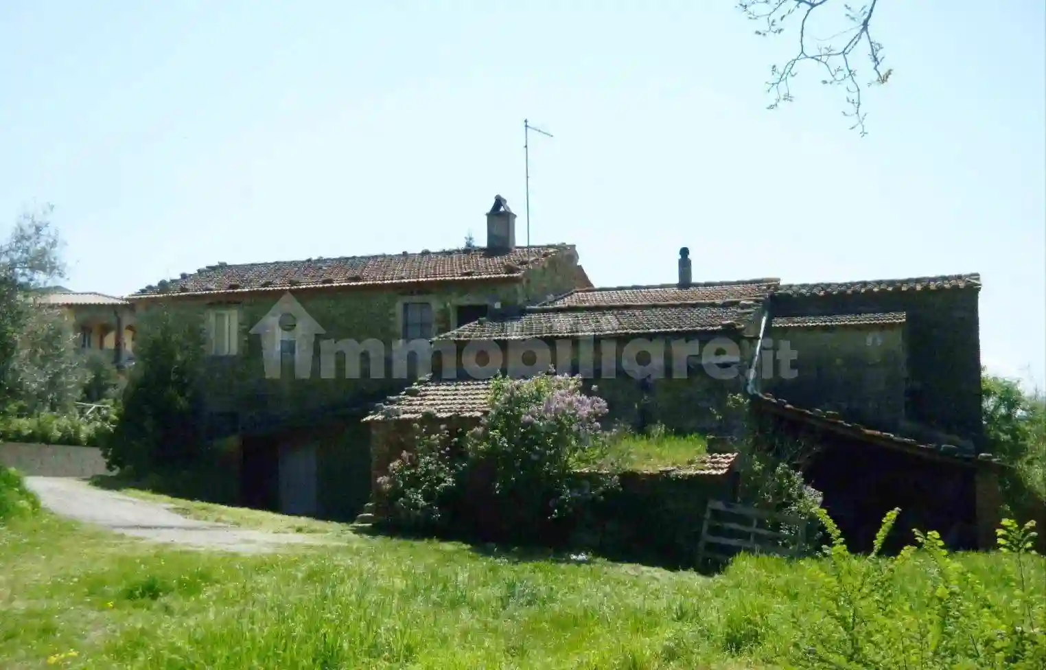 Rustico - Casale - foto 5