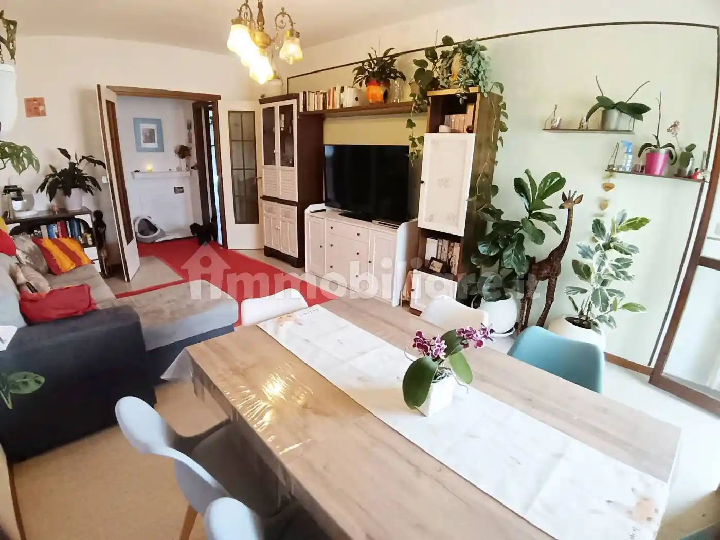 Appartamento - foto 4