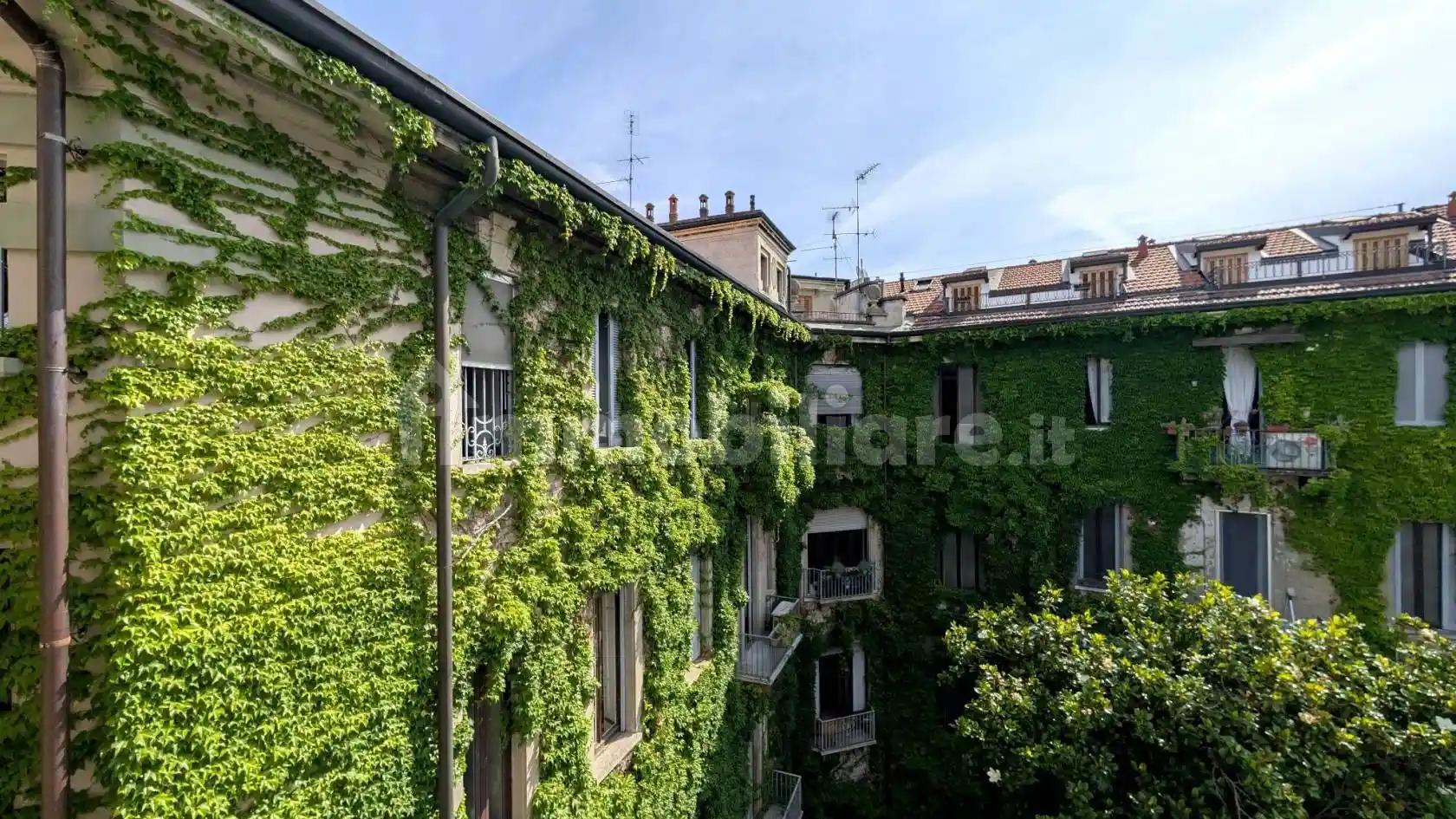 Penthouse - Attic - foto 2
