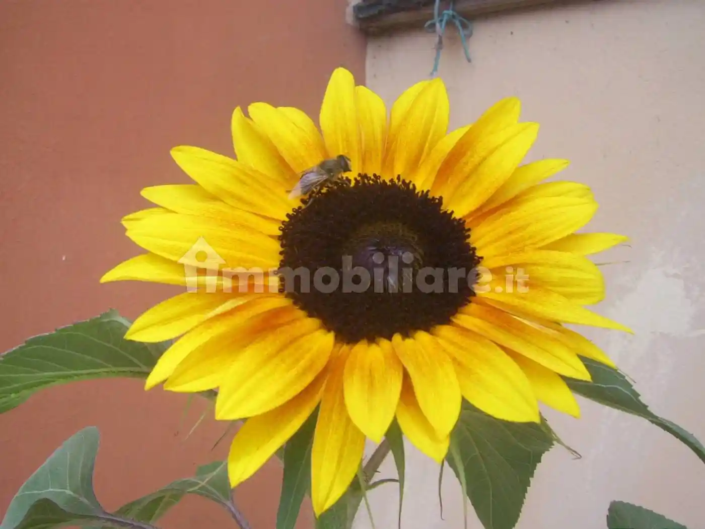 Villa unifamiliare, ottimo stato, 250 m², Curtatone - foto 2