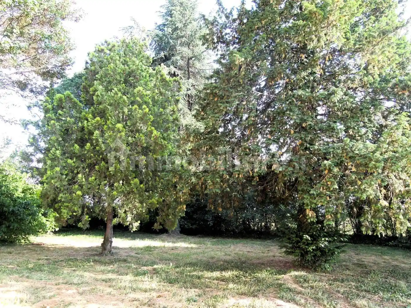 Villa unifamiliare, ottimo stato, 250 m², Curtatone - foto 3