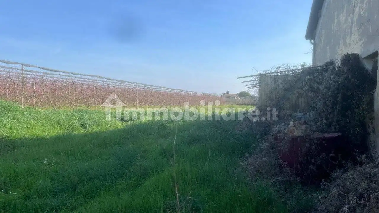 Casa indipendente in vendita a Cesena