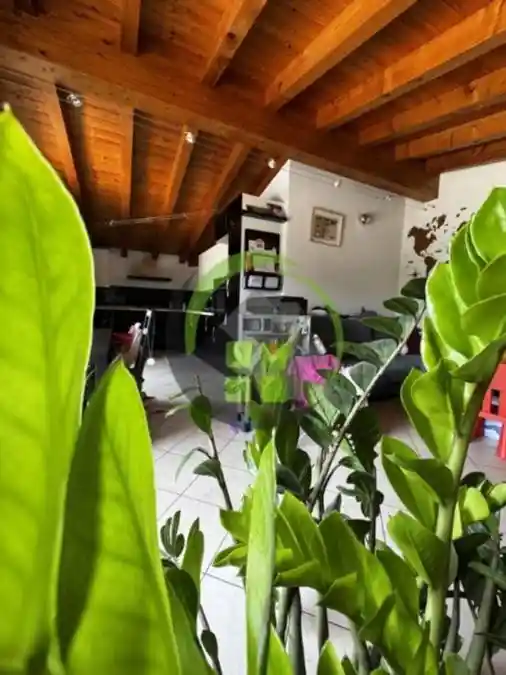 Trilocale ottimo stato, primo piano, Cazzano Sant'Andrea - foto 5