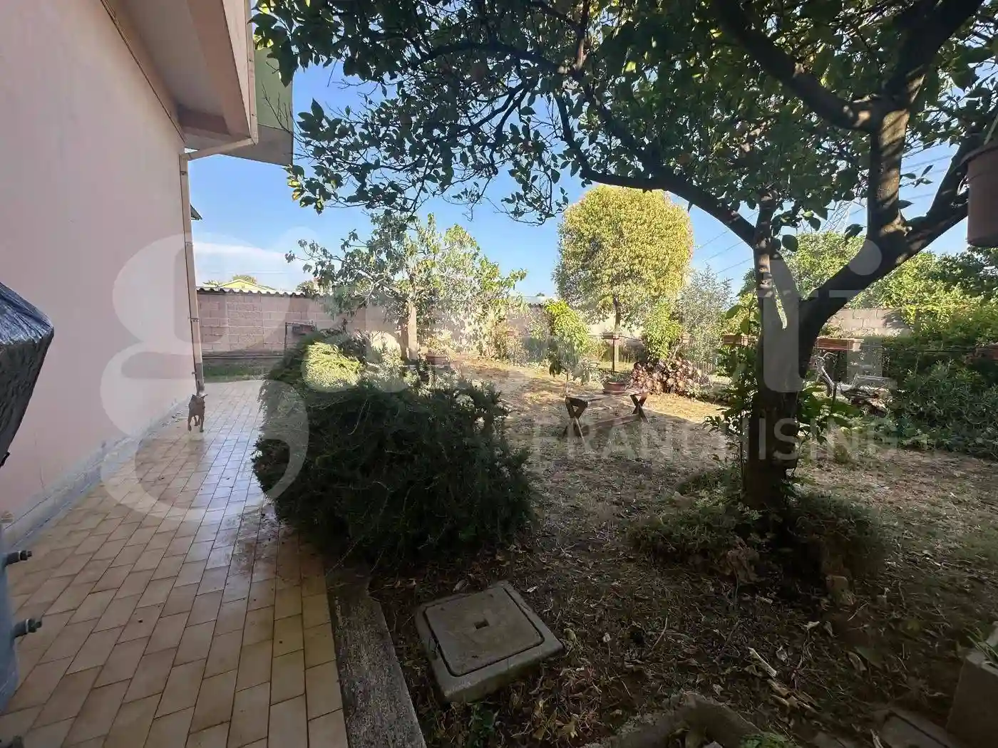 Palazzo - Edificio - foto 4