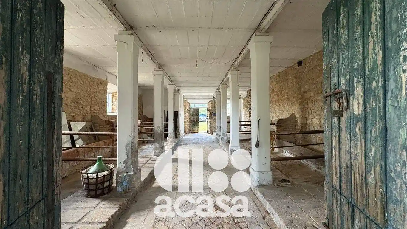 Palazzo - Edificio - foto 5