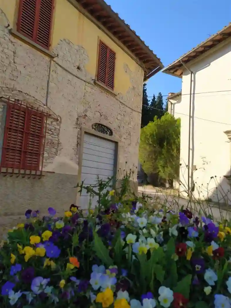 Palazzo - Edificio - foto 4