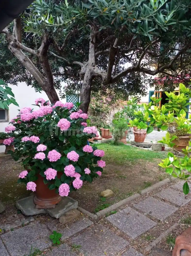 Quadrilocale via Bolognese 30, Bolognese, Firenze - foto 2