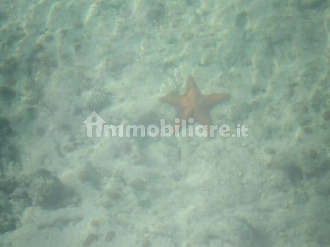 Villa in vendita a Fiumicino