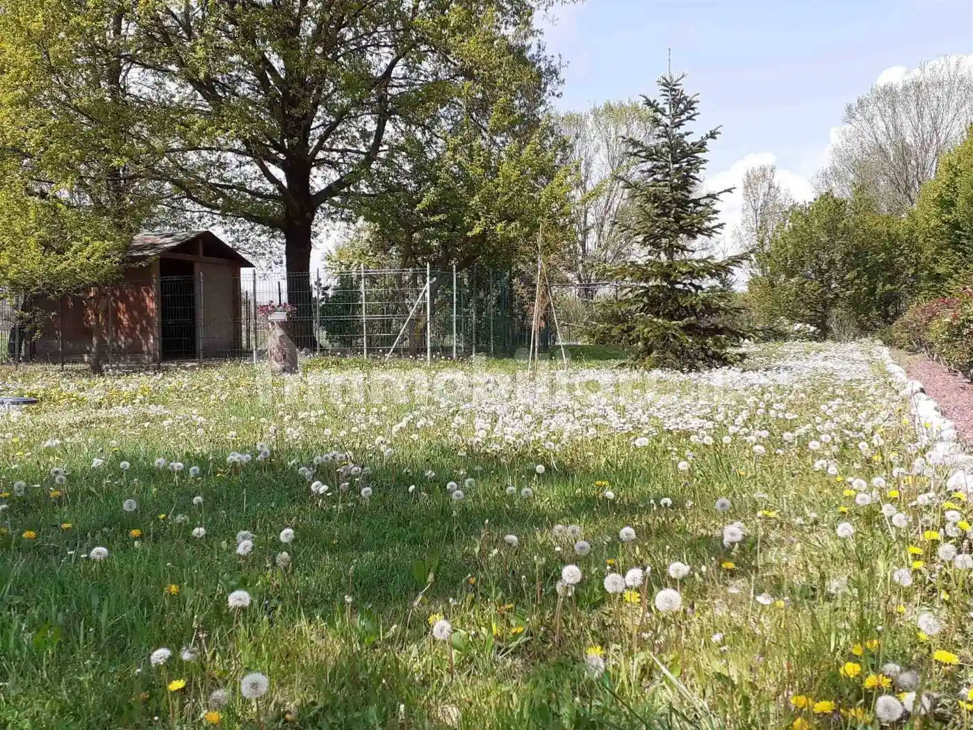 Casa colonica, ottimo stato, 330 m², Calcara, Valsamoggia - foto 5