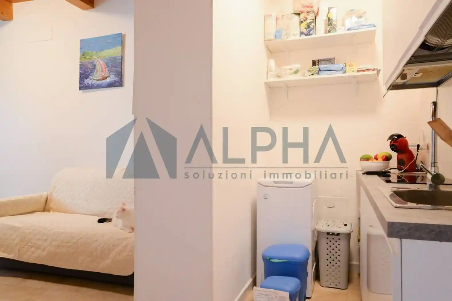 Bilocale viale dell'Appennino, Cà Ossi, Forlì - foto 3