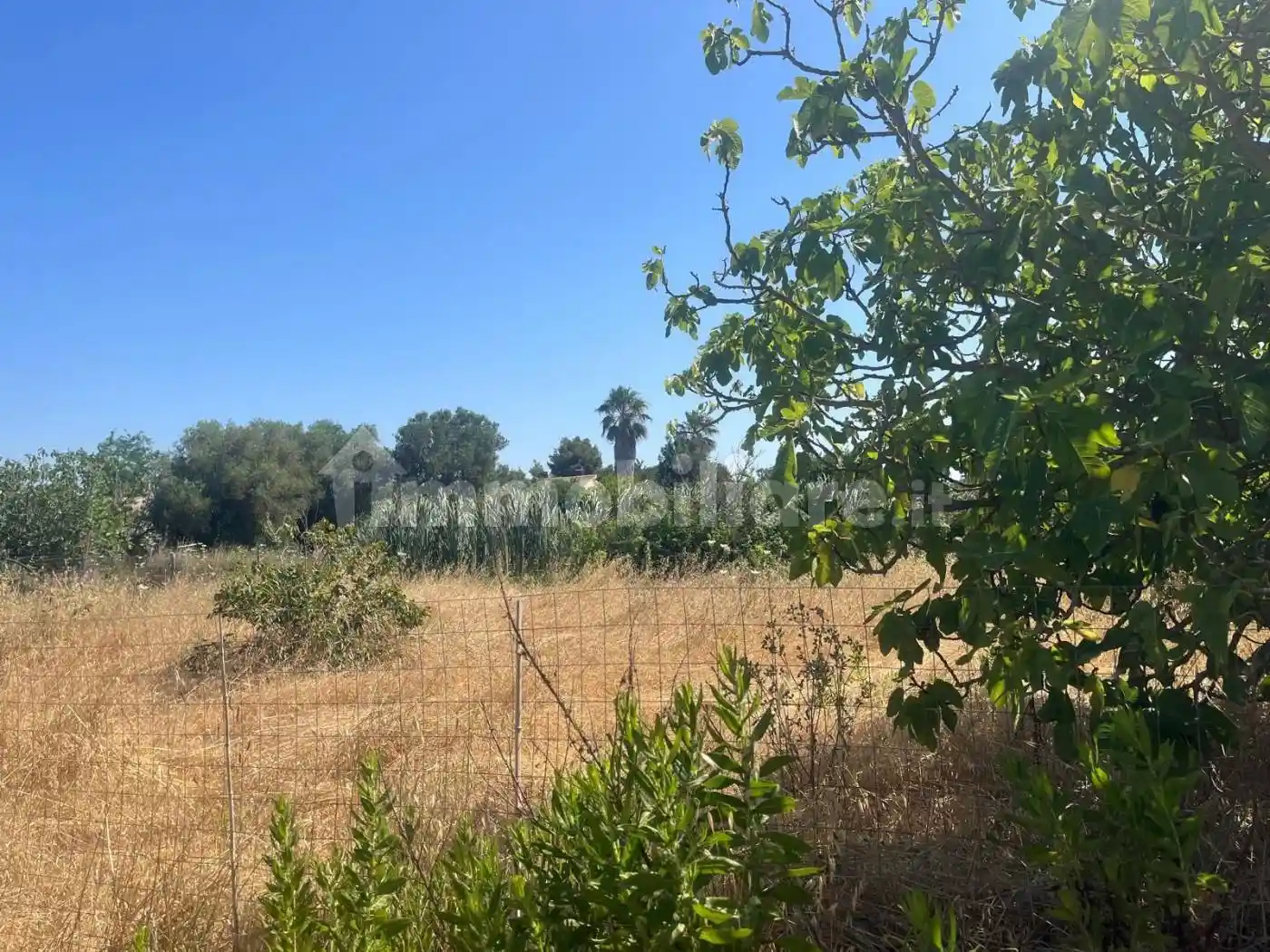 Villa in vendita a Alghero