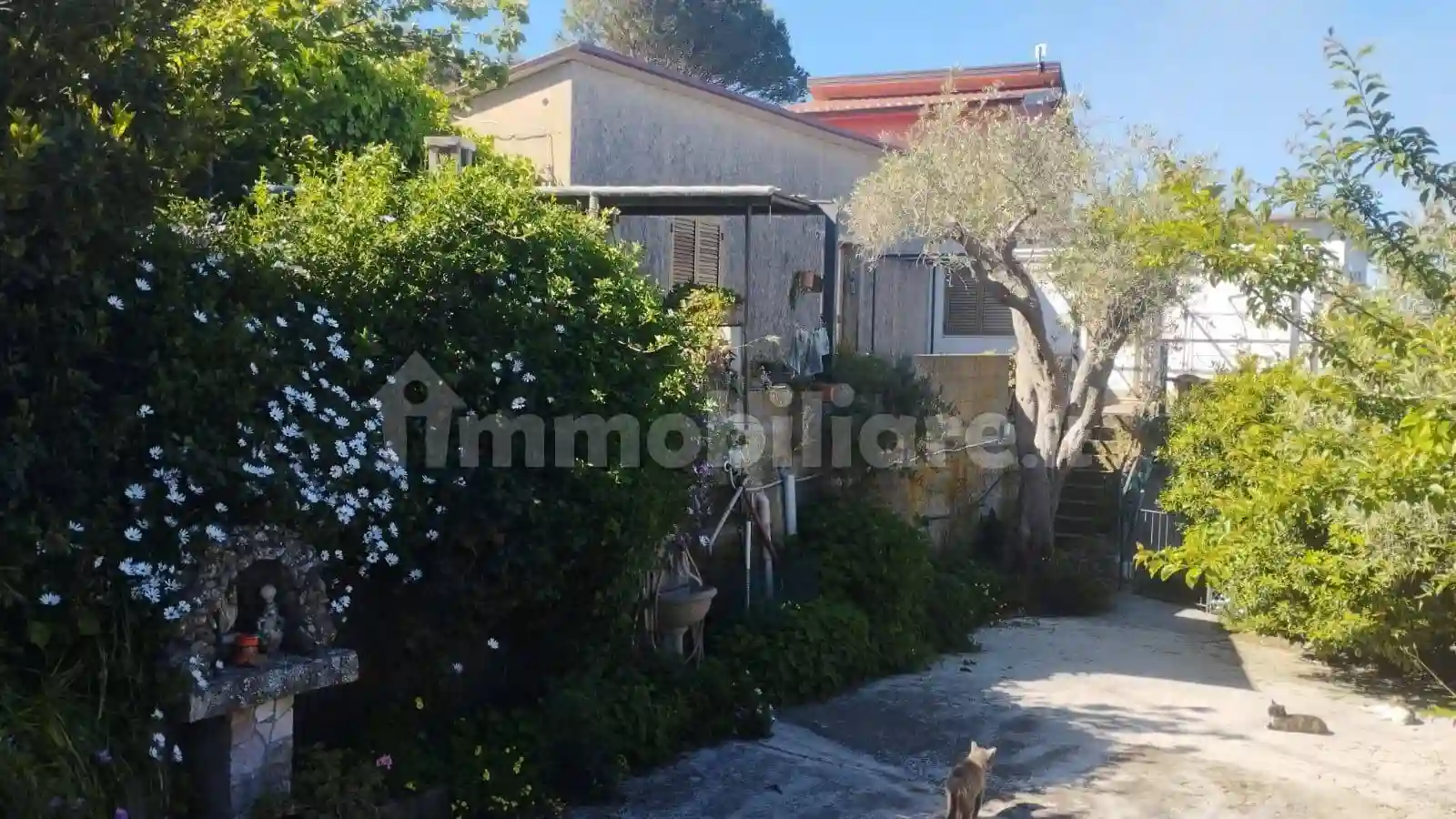 Rustico - Casale - foto 2