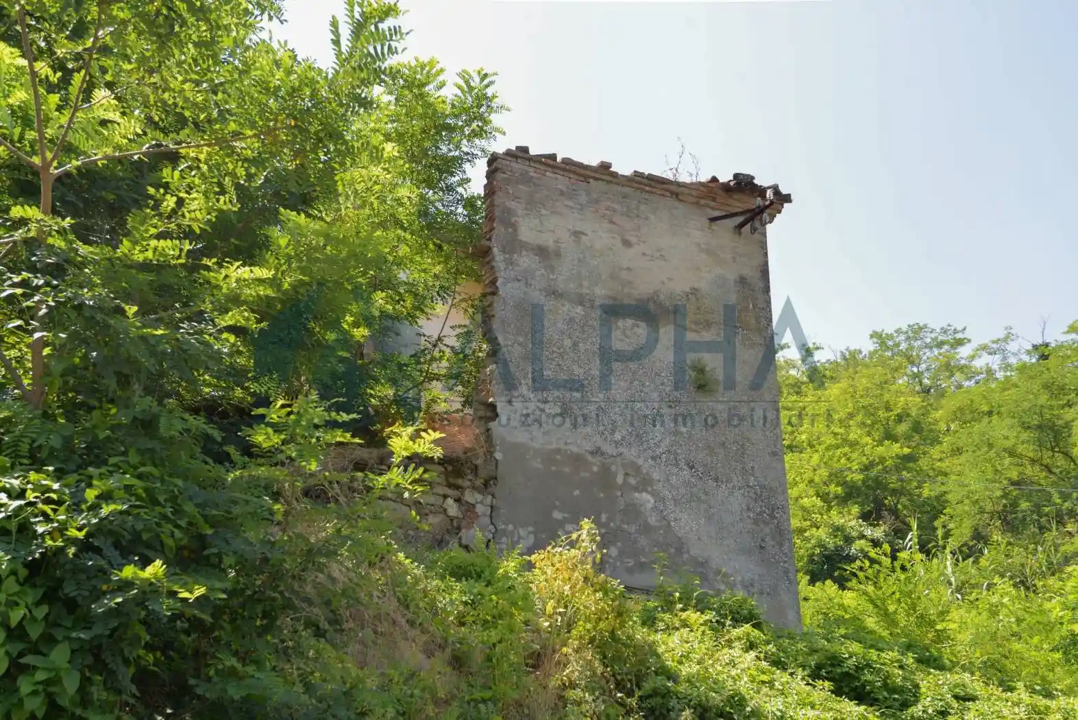 Casale via Tessello, Tessello, Cesena - foto 5