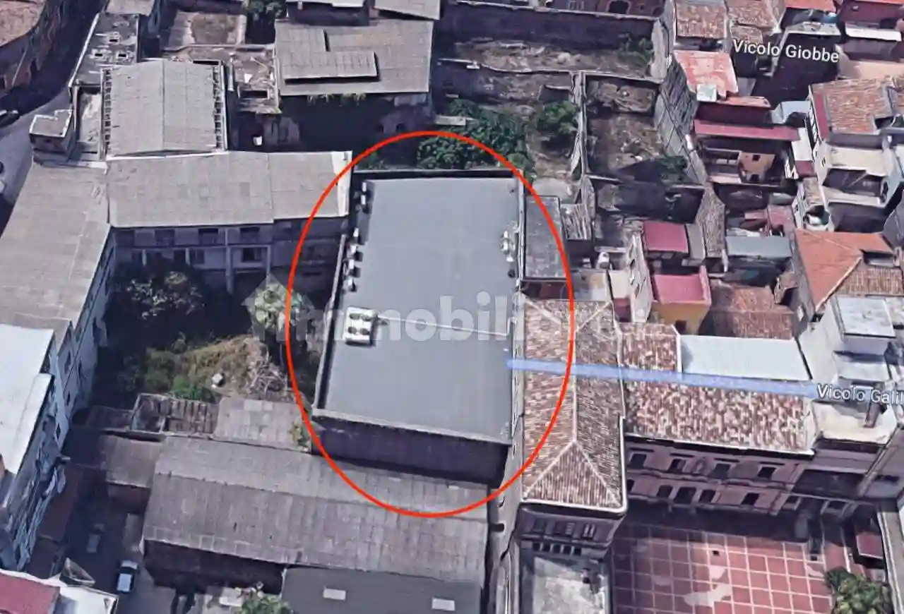 Palazzo - Edificio - foto 3